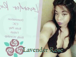 Lavender_Rose