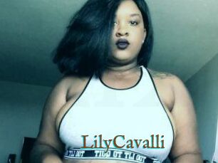 Lily_Cavalli