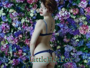 LittleHotFox