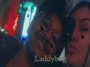 Laddybug