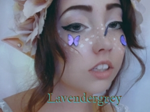 Lavendergrey