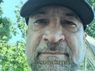 Leoncarpita