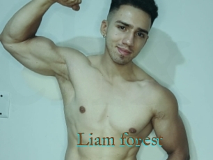 Liam_forest