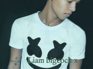 Liam_bigcock_x
