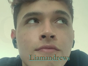 Liamandrews