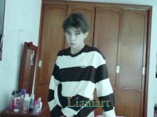 Liamart