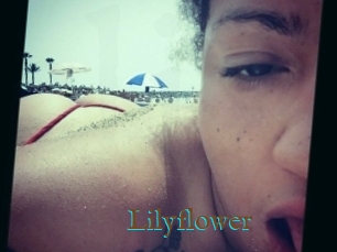 Lilyflower