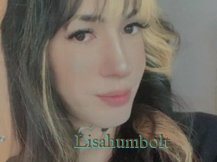 Lisahumbolt