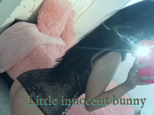 Little_innocent_bunny
