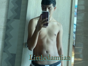 Littledamiian