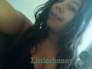 Littleebunny