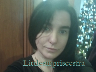 Littlesurpriseestra