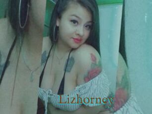 Lizhorney