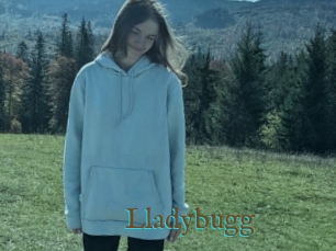 Lladybugg