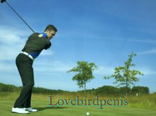 Lovebirdpenis