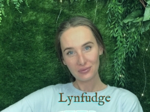 Lynfudge
