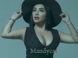 Mandycat