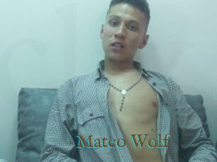 Mateo_Wolf
