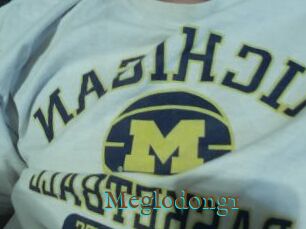 Meglodong1
