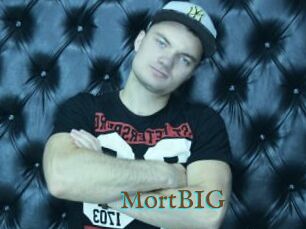 MortBIG