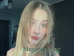 Megangearing