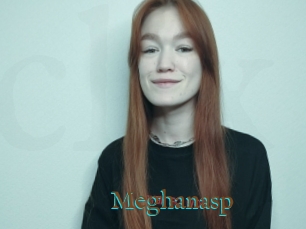 Meghanasp