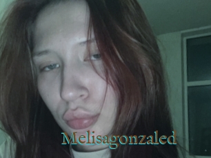 Melisagonzaled