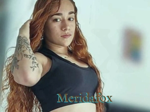 Meridafox