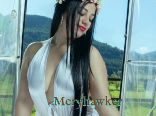 Meryhawker