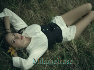 Milamelrose