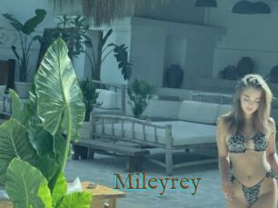Mileyrey