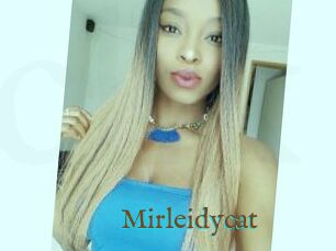 Mirleidycat