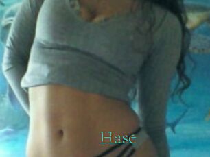 Hase