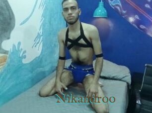 Nikandroo