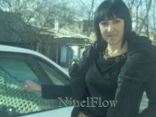 NinelFlow
