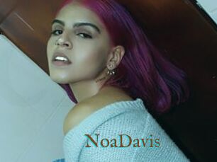 NoaDavis