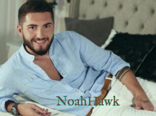 NoahHawk