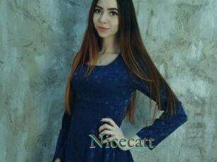 Nicecatt