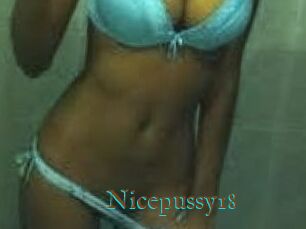 Nicepussy18