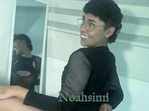 Noahsinn