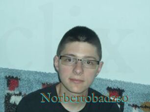 Norbertobadzso