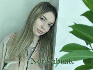 Noreenbunte