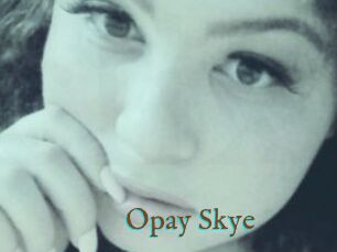 Opay_Skye