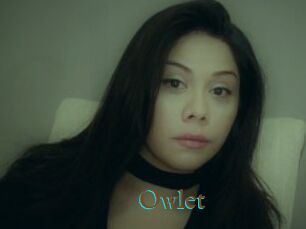_Owlet_