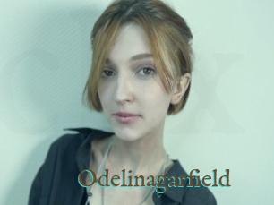 Odelinagarfield