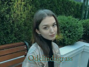 Odelindagrass