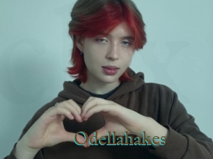 Odellahakes