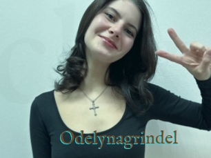 Odelynagrindel