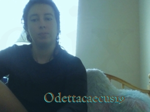 Odettacaecus19