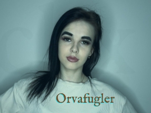 Orvafugler